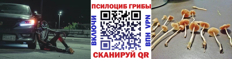 купить   Рыбинск  MEGA ссылка  Псилоцибиновые грибы GOLDEN TEACHER 